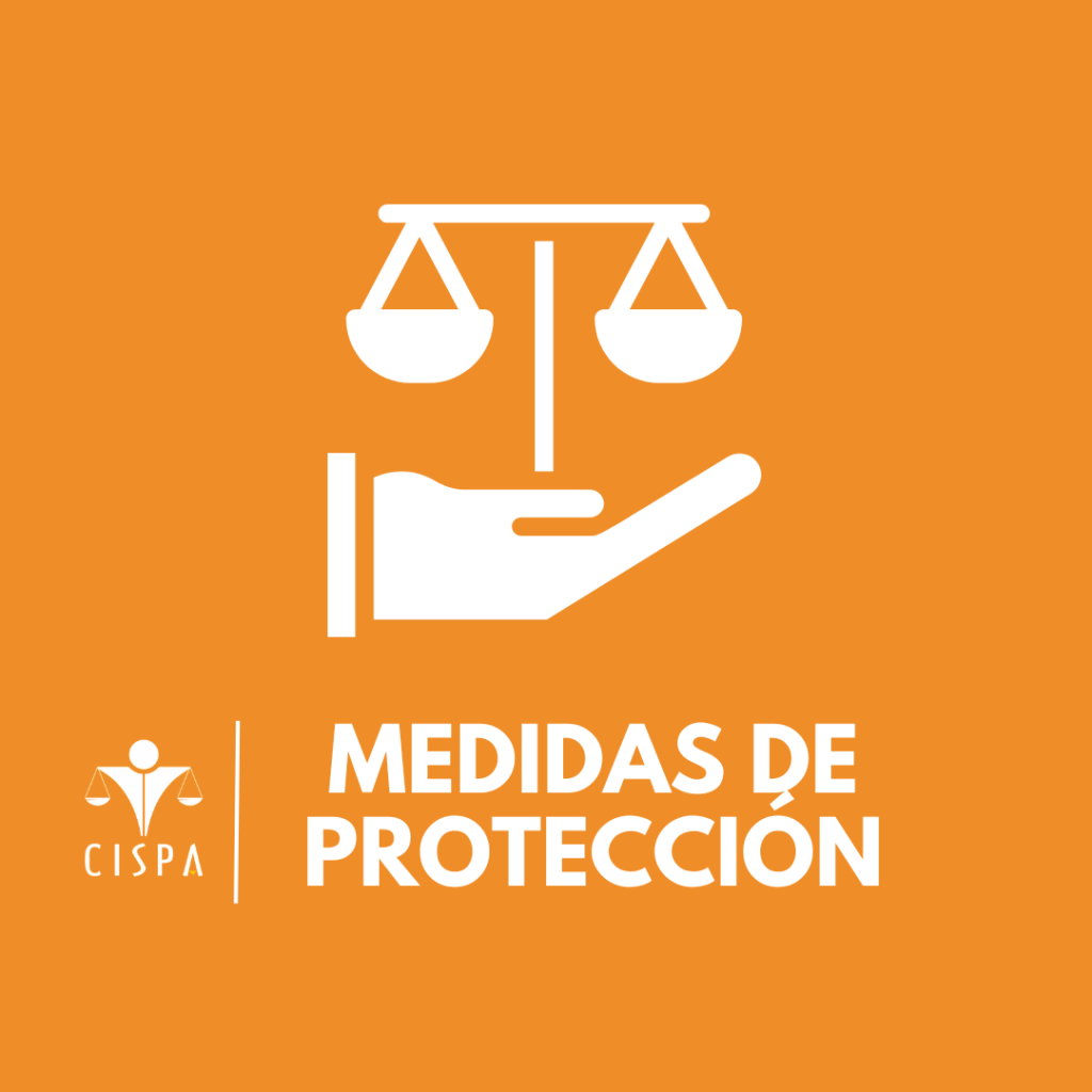 Medidas de Protección Abogados en Chile